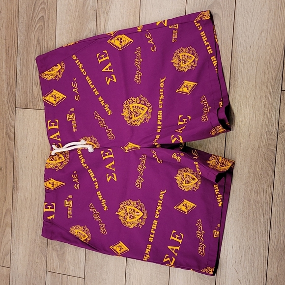 SALE!SAE Sigma Alpha Epsilon Purple Gold Large Vtg Casual Mens Drawstring Shorts - Picture 1 of 10